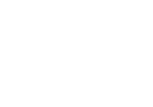 Viollier y Asociados, Ajustadores de Seguros